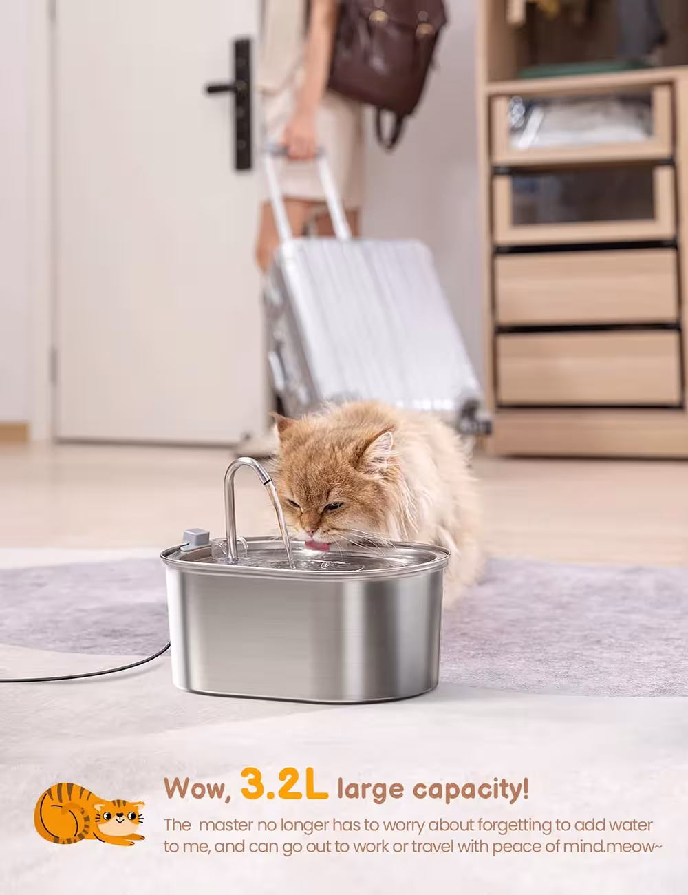 automatinis katės vandens fontanas