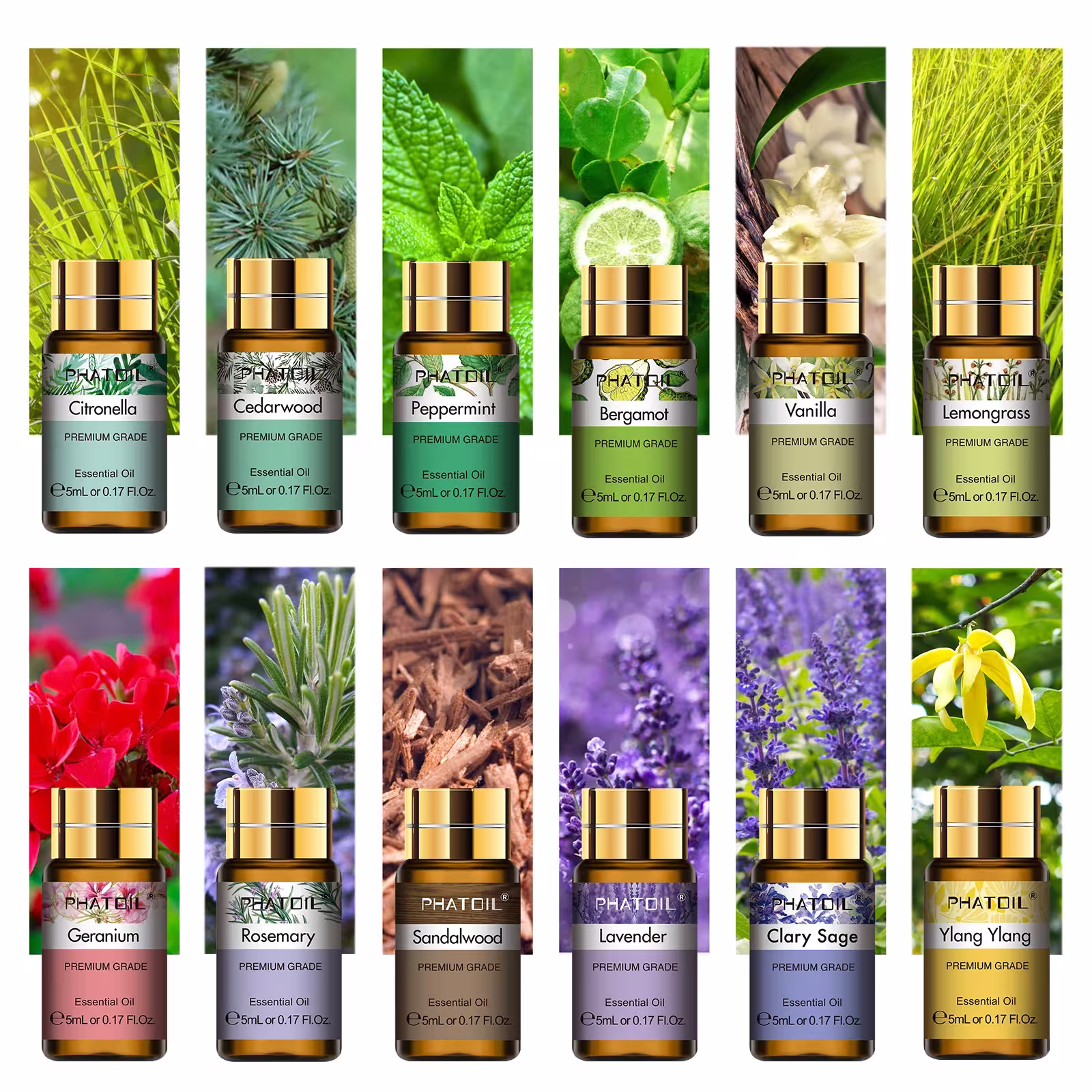essential oil set