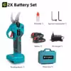 2-battery