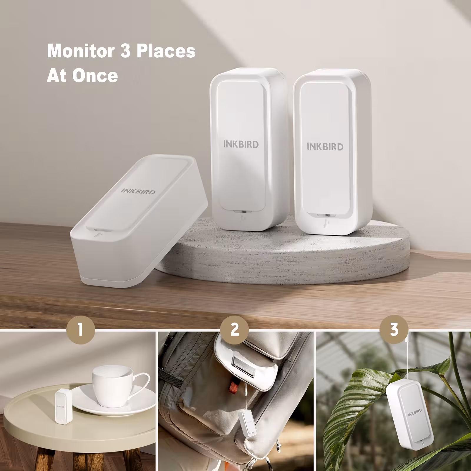 Thermomètre et hygromètre Bluetooth