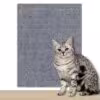 light-grey