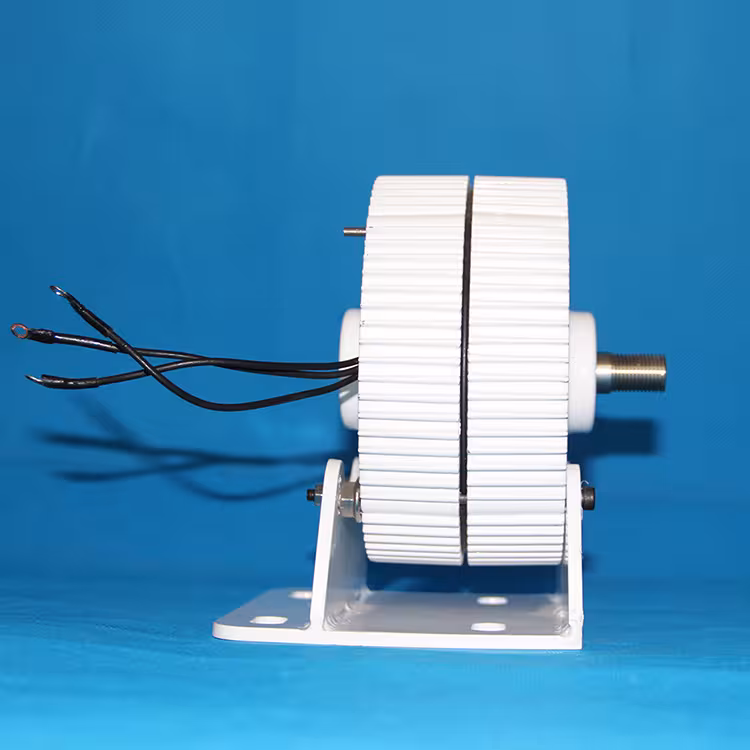 vėjo turbina generatorius 1000W
