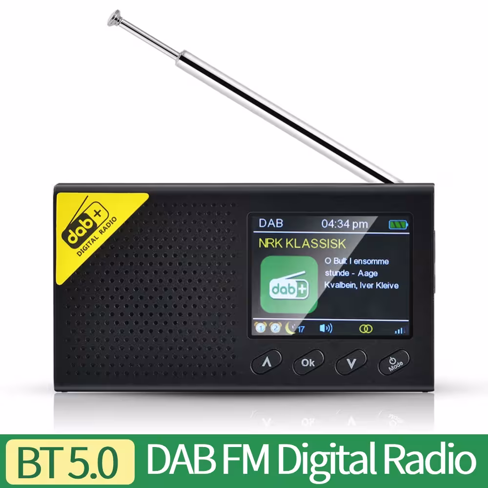 Radio digitale portatile DAB FM con Bluetooth 5.0 e schermo da 2,4 pollici