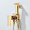 shiny-gold