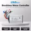 36v-48v-500w