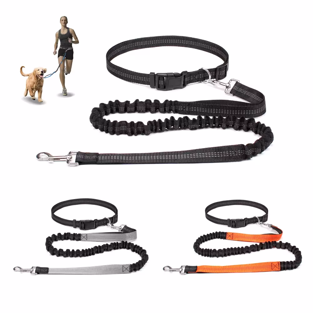Laisse pour chien mains libres pour la course et l'exercice avec ceinture réglable