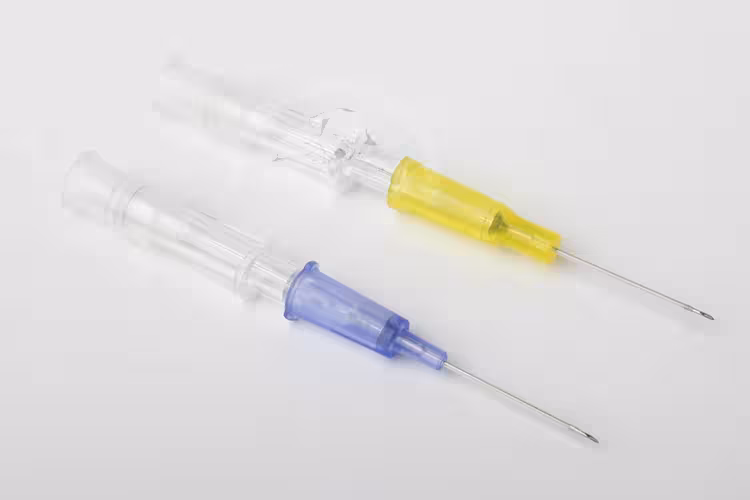 IV cannula catheter veterinary