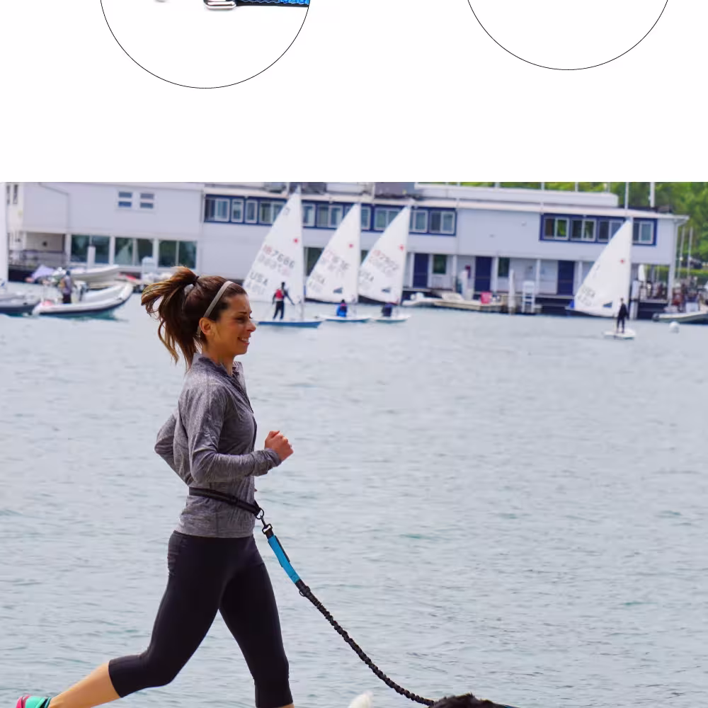 laisse mains libres pour chien