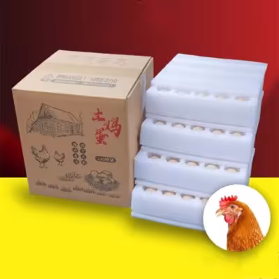 EPE foam egg packing box with grain protection and quick delivery