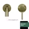 brush-gold-150