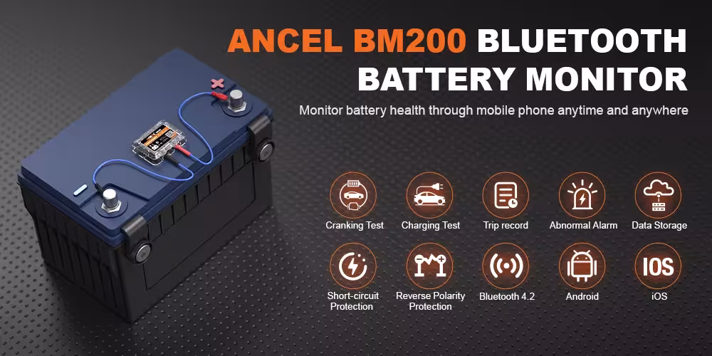 battery monitor 12V
