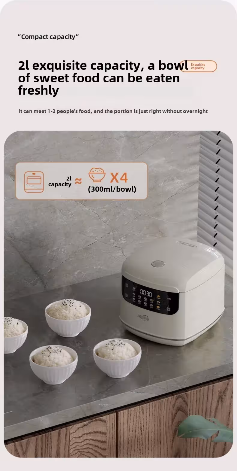 compact rice cooker 2L