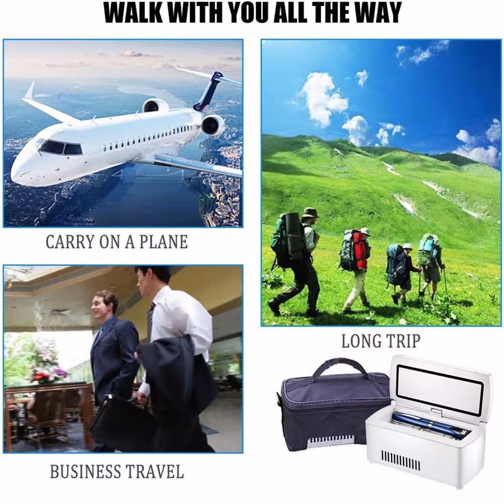 portable medicine refrigerator