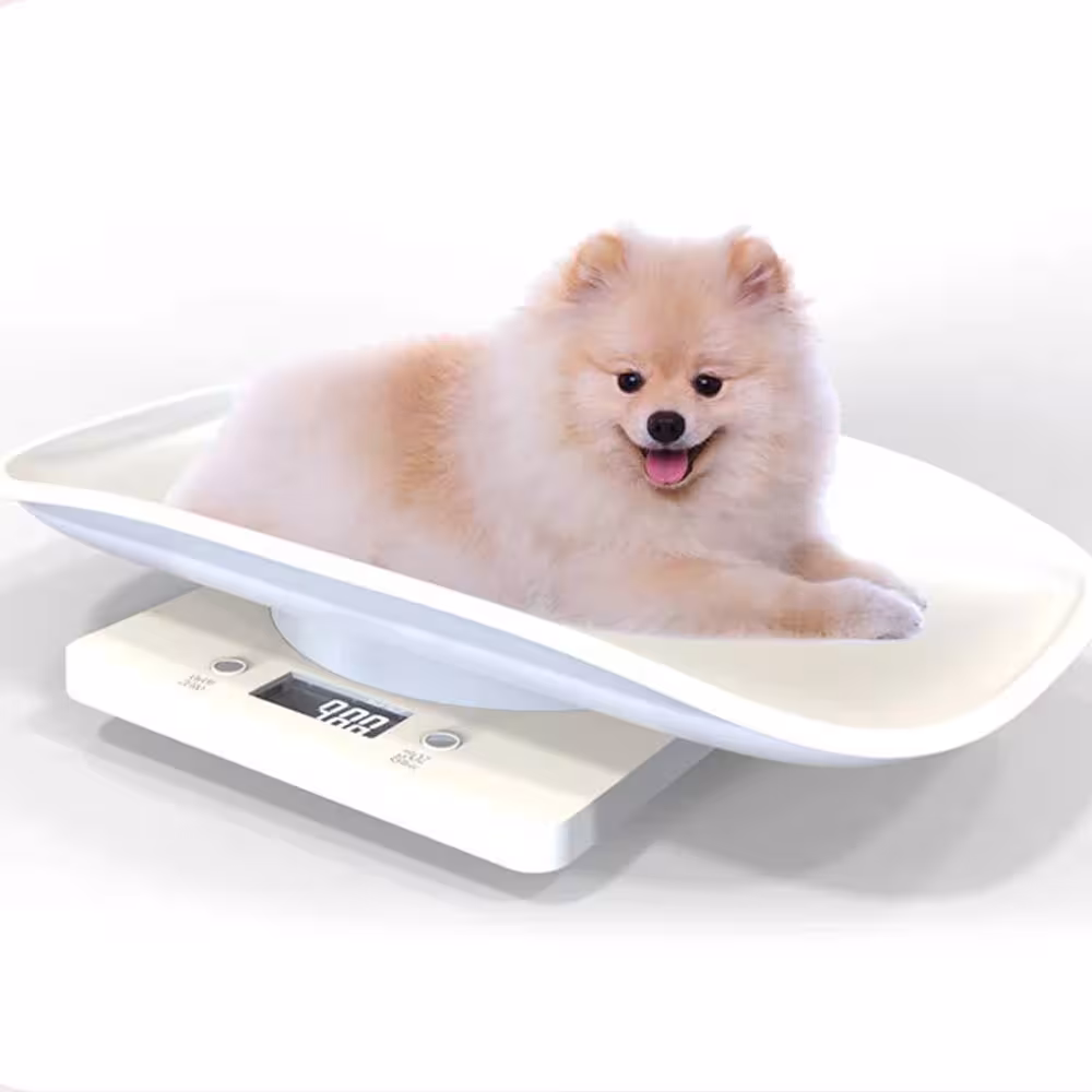 portable crane scale