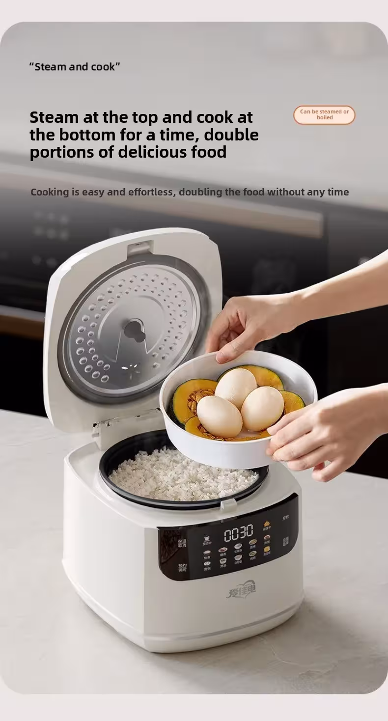 compact rice cooker 2L