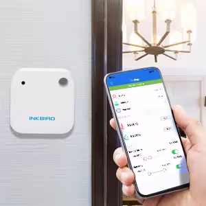 Termometro Bluetooth per frigorifero