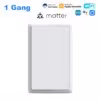 1gang