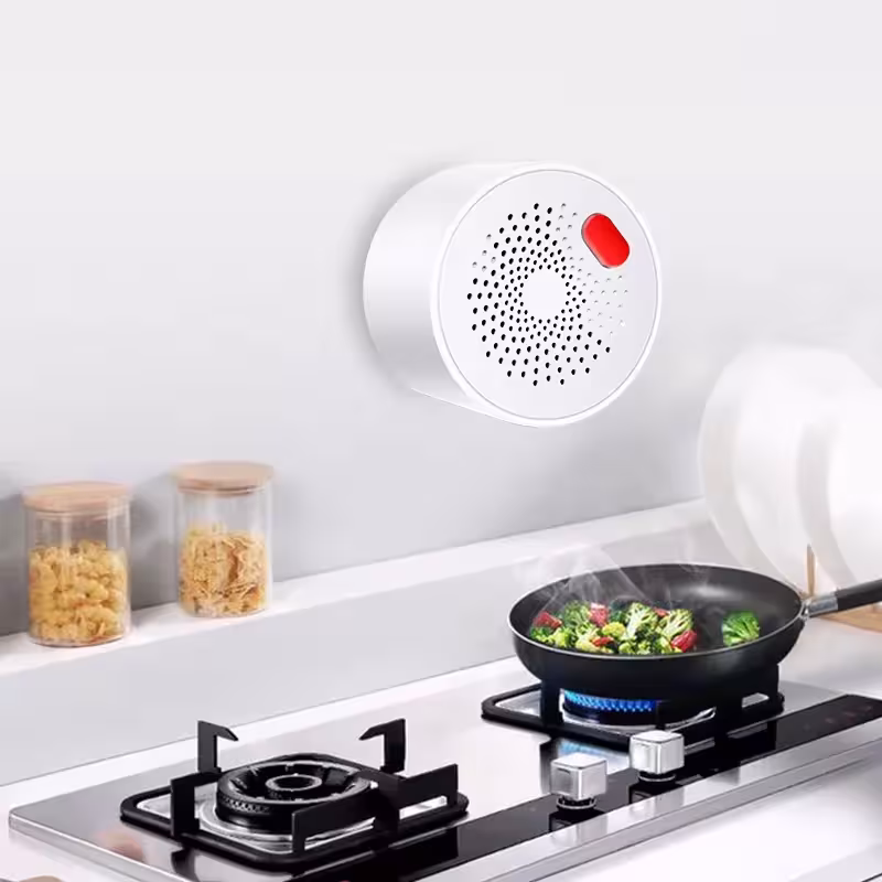 Smart dujų detektorius namams