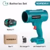 1-batterie-eu-plug