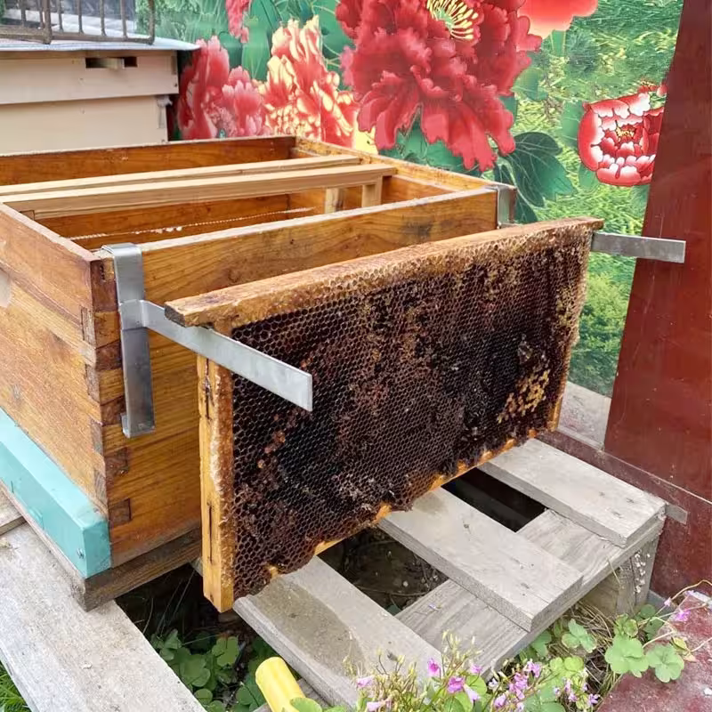 Stainless Steel Honeycomb Frame Holder Beekeeping Tool