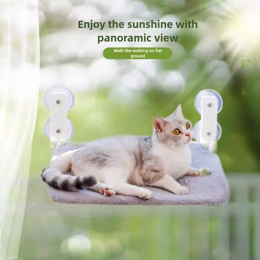 suspensión gato en la ventana