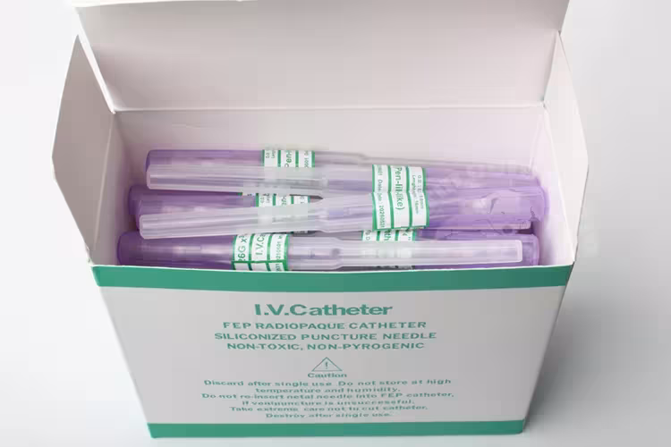 IV cannula catheter veterinary
