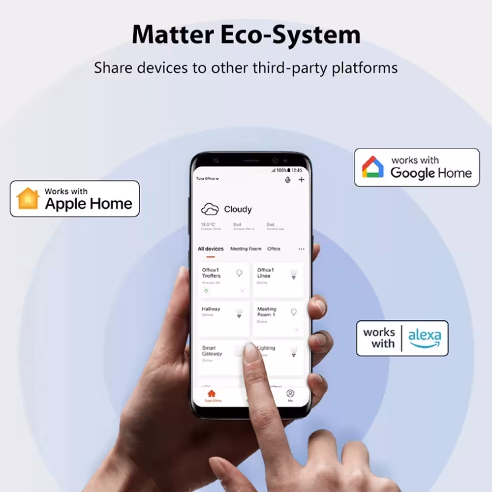 smart WiFi switch