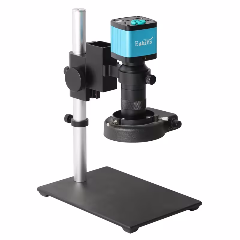 microscopio immagine digitale