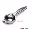 silver-large