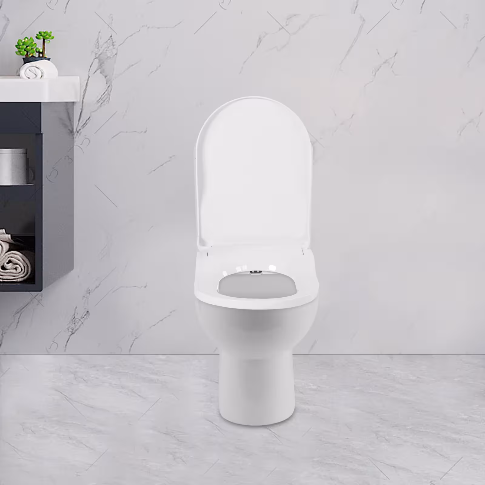 bidet tualeto sėdynė