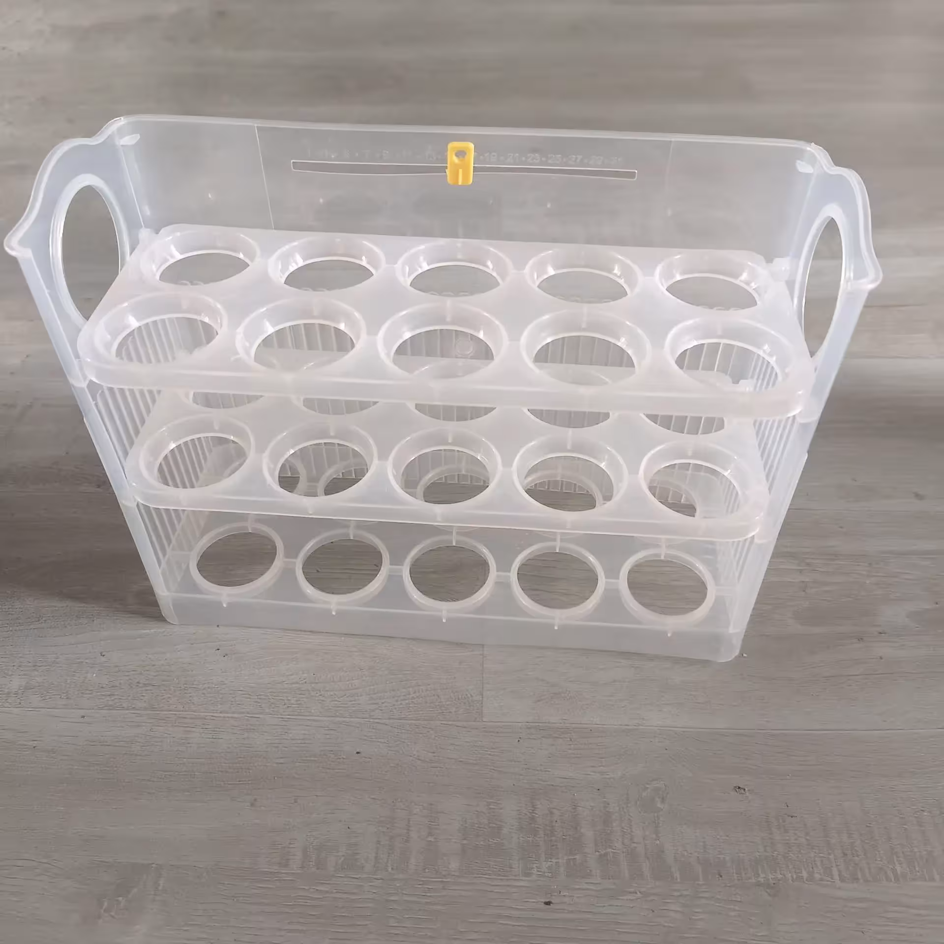 egg storage container