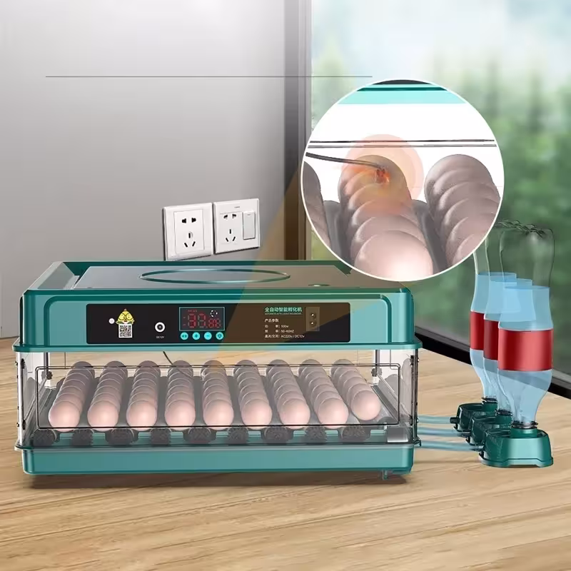 incubadora automática de huevos de gallina