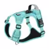 mint-green