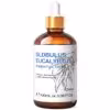 globulus-eucalyptus