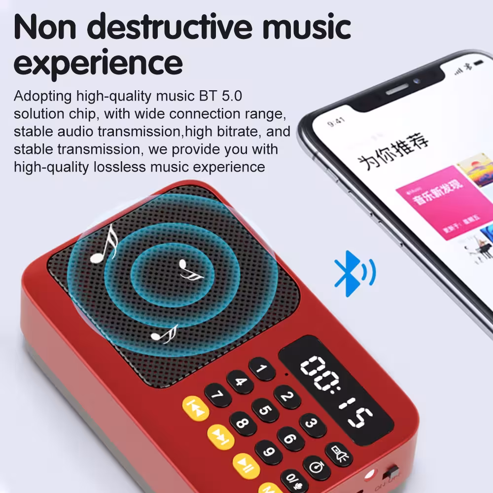 portable FM radio Bluetooth