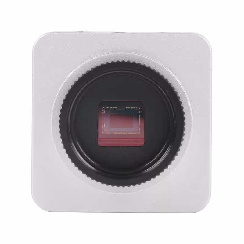 microscopio immagine digitale