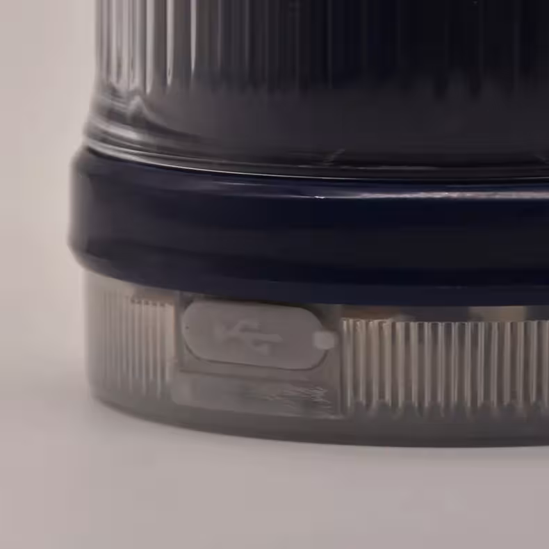 electric juicing rod