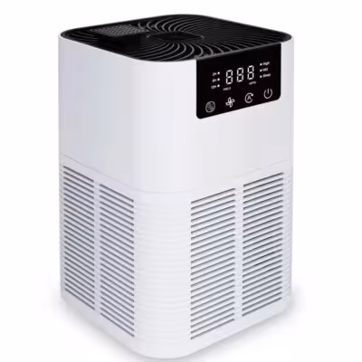 Oro valytuvas su HEPA filtru nuo alergenų ir dulkių namams