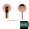 polish-rose-gold-210