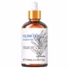 clove-leaf