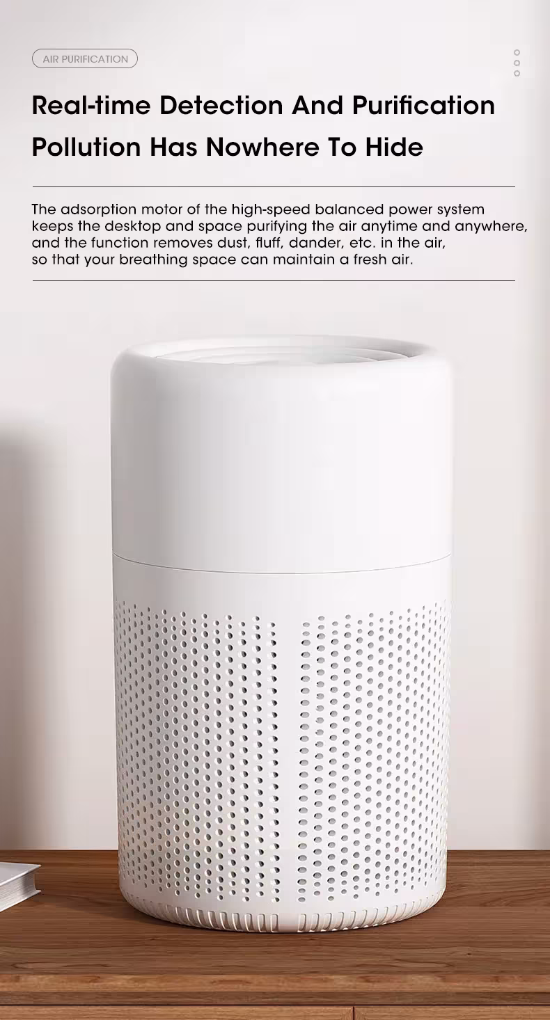 air purifier with ion generator