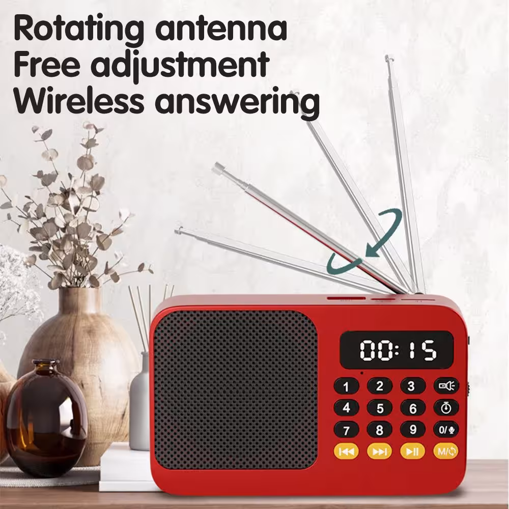 portable FM radio Bluetooth