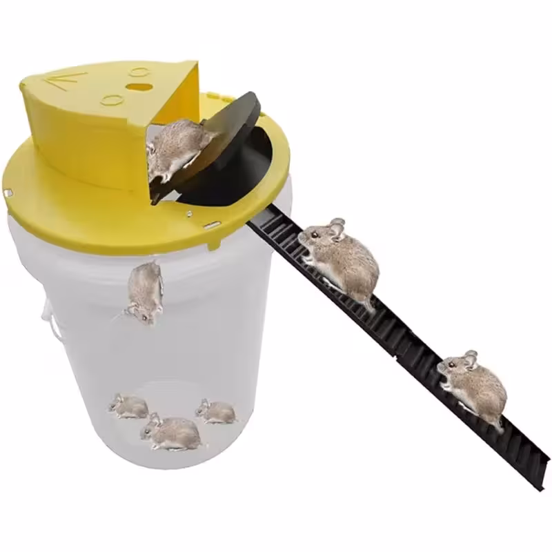 Automatic vole trap with bucket flip-up lid and self-reset function