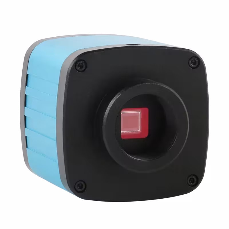 microscopio immagine digitale
