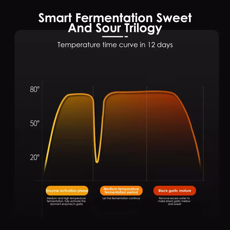 black garlic fermenter automatic