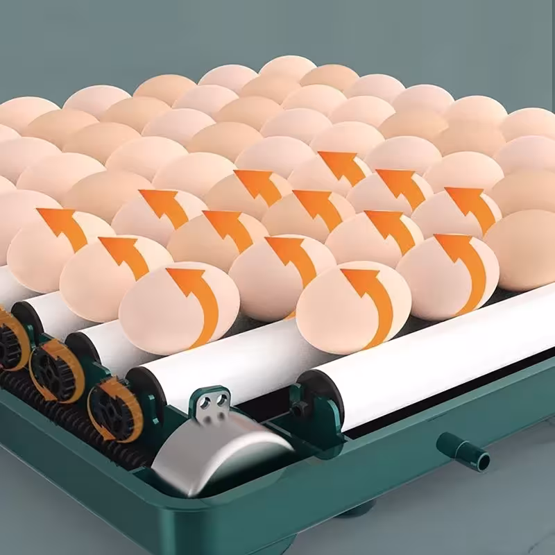 incubadora automática de huevos de gallina