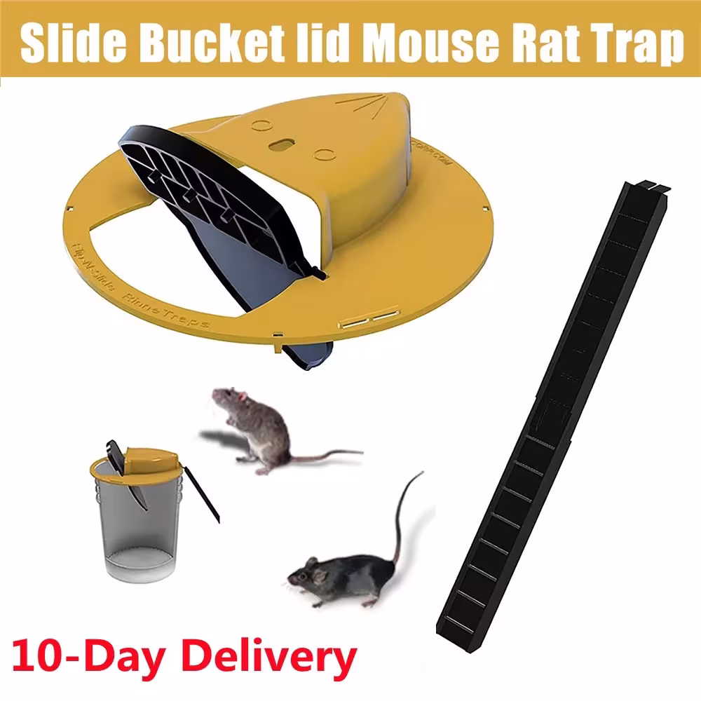 automatic mouse trap