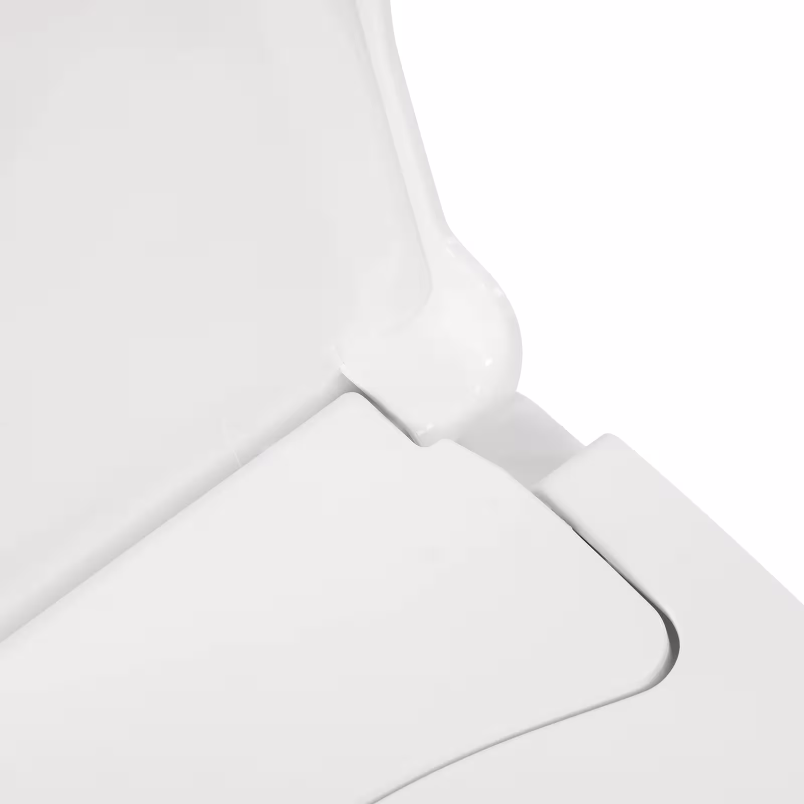 bidet tualeto sėdynė