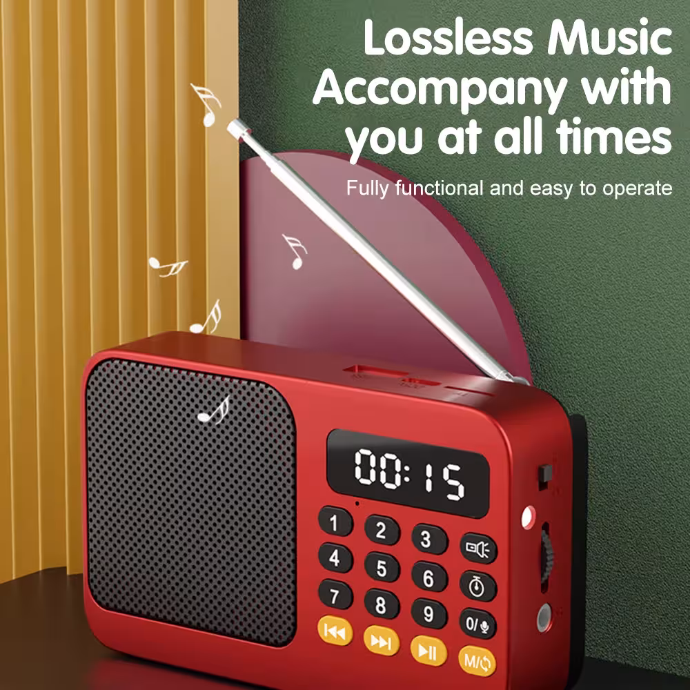 portable FM radio Bluetooth