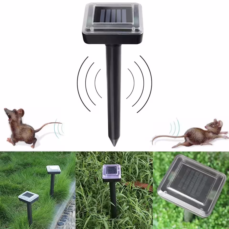 ultrasonidos descompuestos